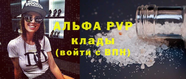 прущие грибы Костерёво