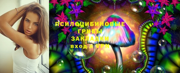 прущие грибы Костерёво
