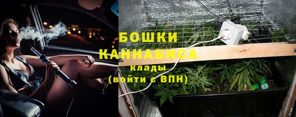 прущие грибы Костерёво