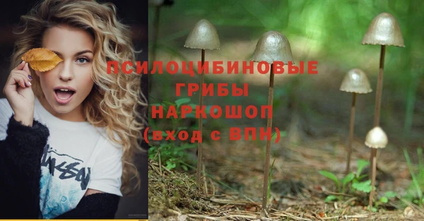 jwh Коряжма