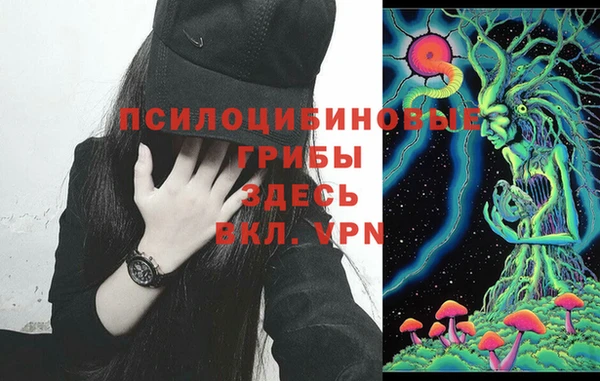 мдпв Гатчина