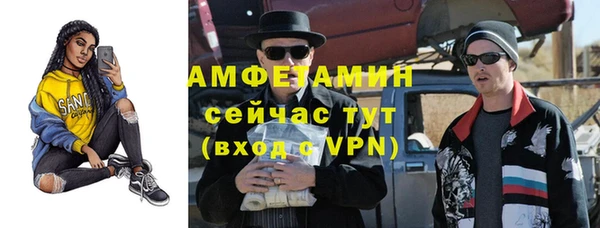 прущие грибы Костерёво